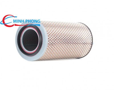 Lọc gió Mann Filter C17250