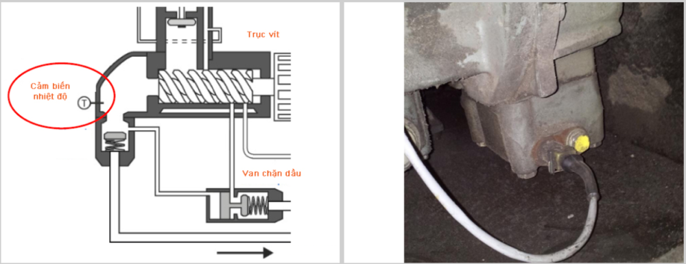 Cảm biến nhiệt độ trong sơ đồ và thực tế