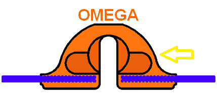 omega1